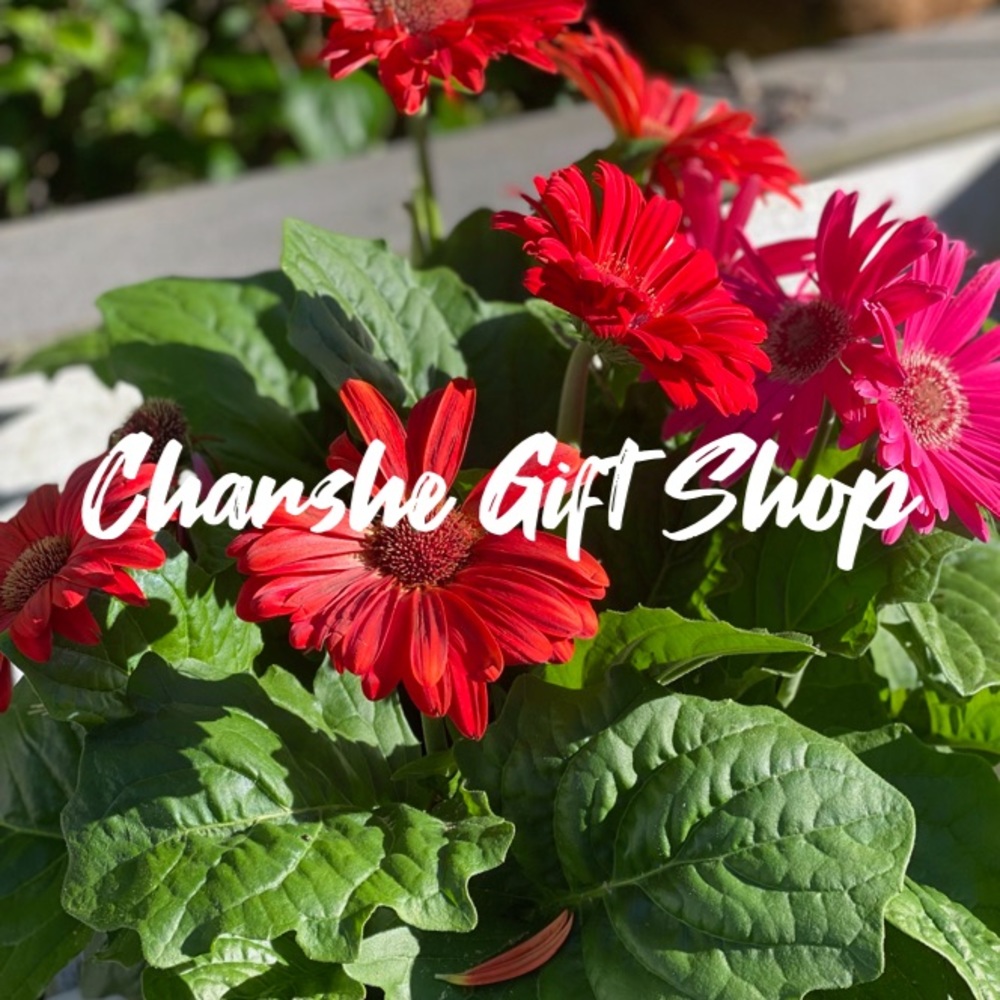 Welcome to CharsheGiftShop